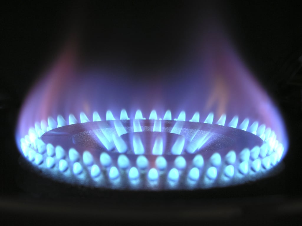 food trailer propane furnace