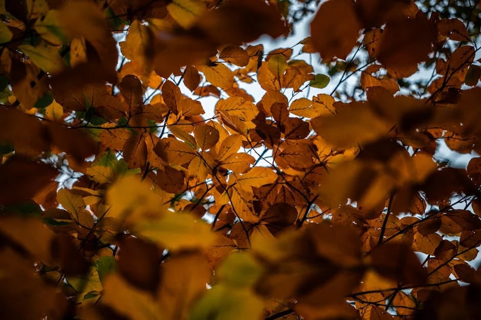 Image describing Top 5 Ways to Score Cheap Air Jordans in 2025!