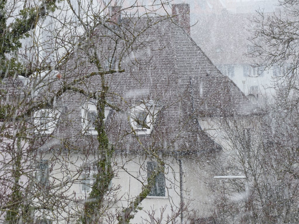 hail damaged roof