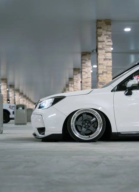 Image describing 2025s Best Avalanche NFT Deals You Cant Miss Now!