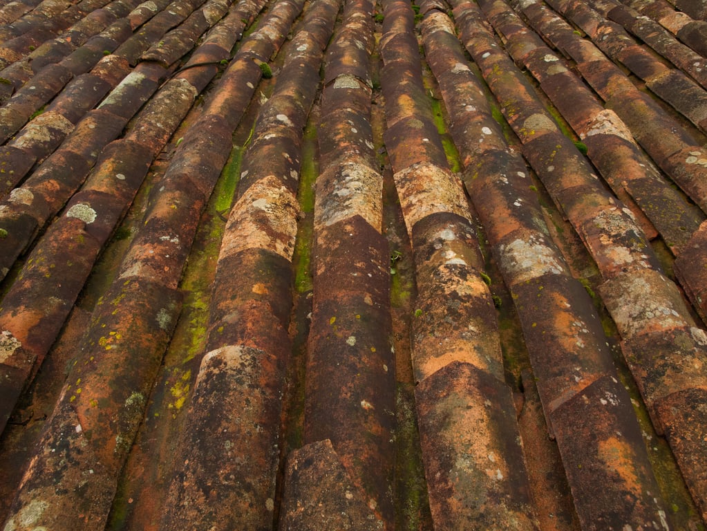 roof shingle replacement