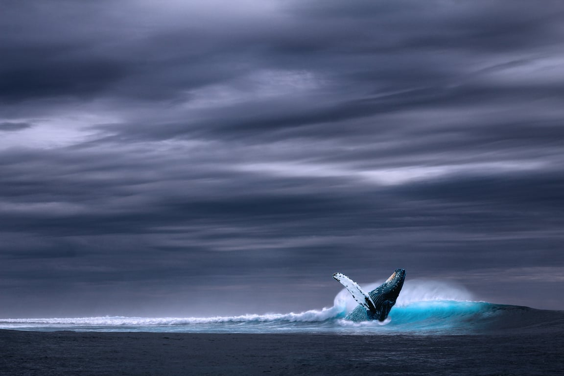 Blue Whale of Catoosa