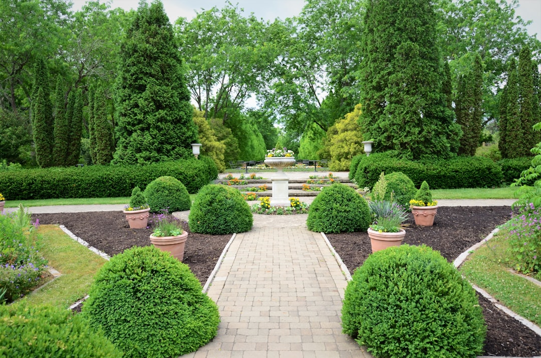Landscaping and Hardscaping Near Me: How to Choose the Right Local Contractor