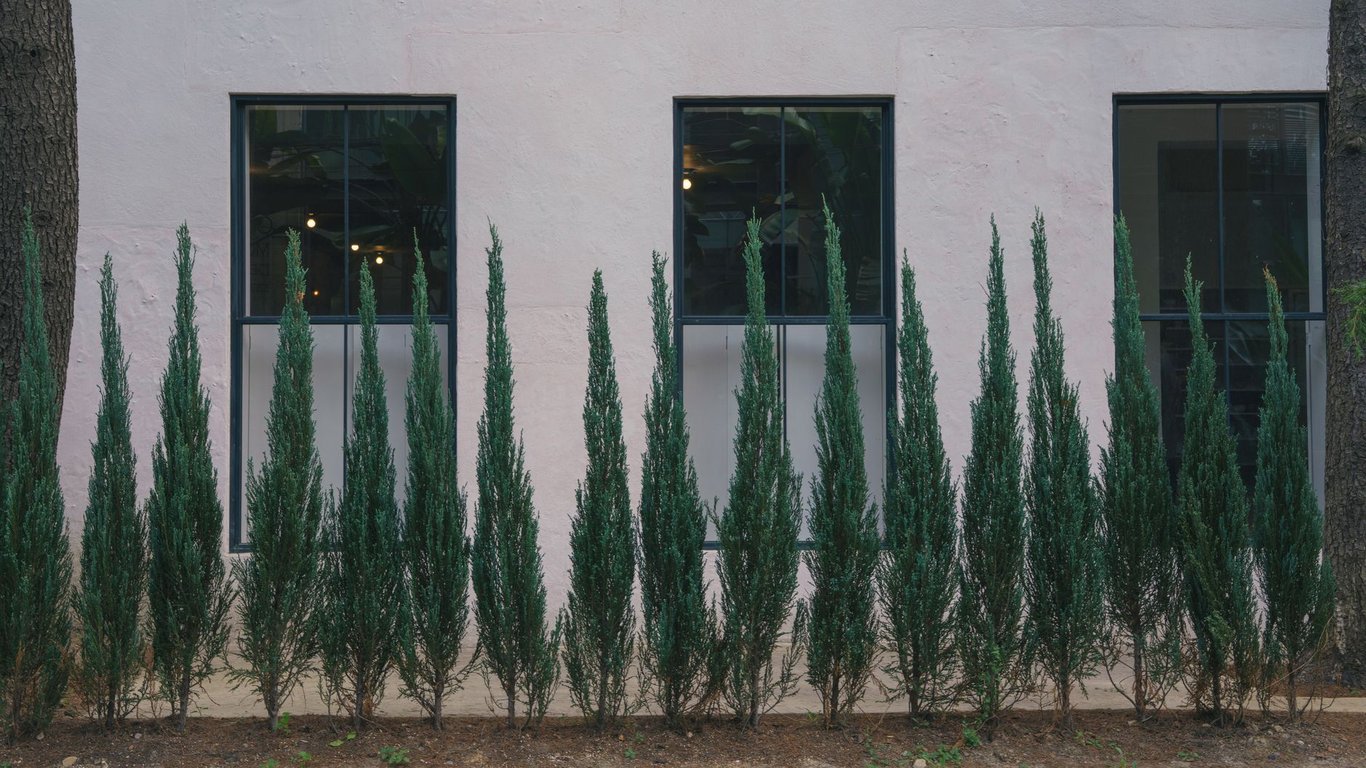 Landscape and Hardscape: Designing a Balanced, Low-Maintenance Outdoor Space