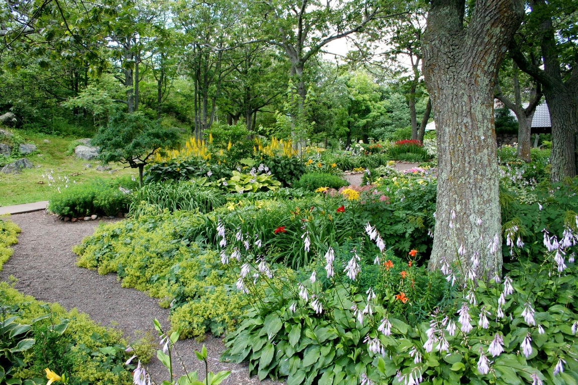 backyard patio landscaping