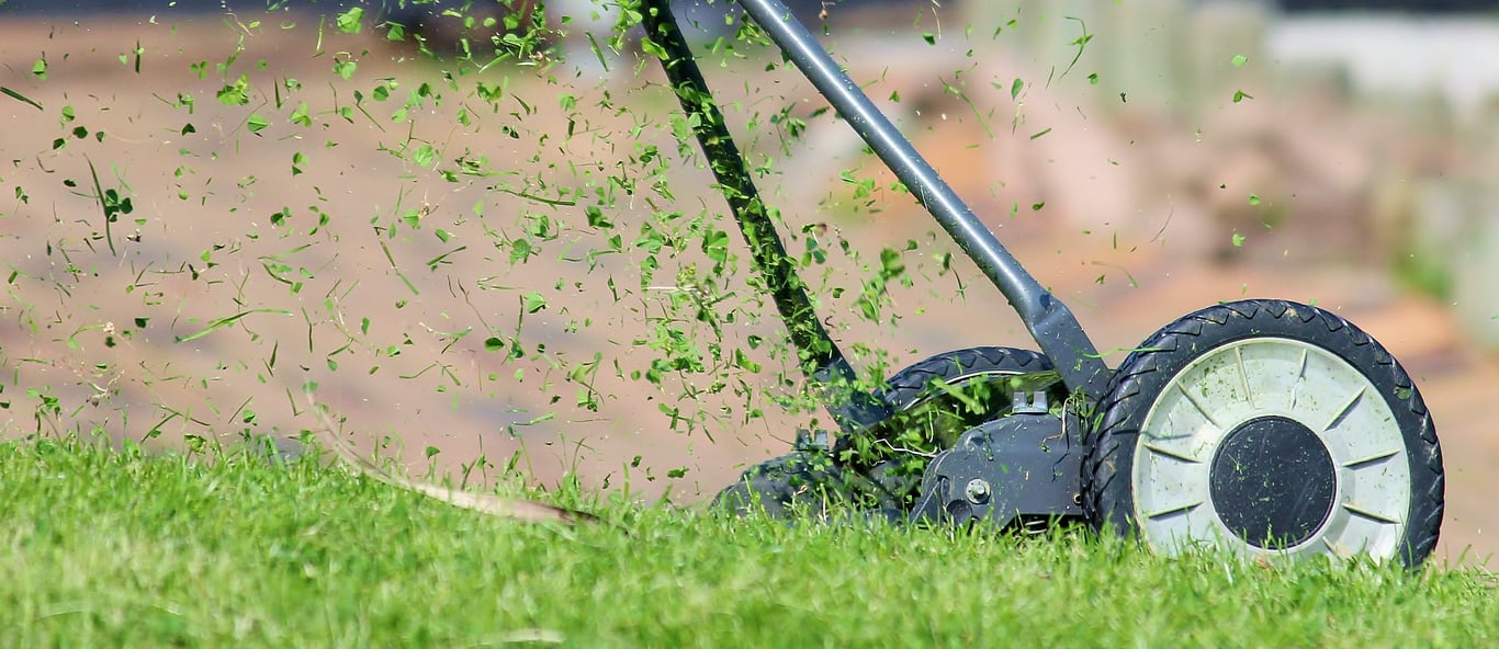 lawn mower cutting grass