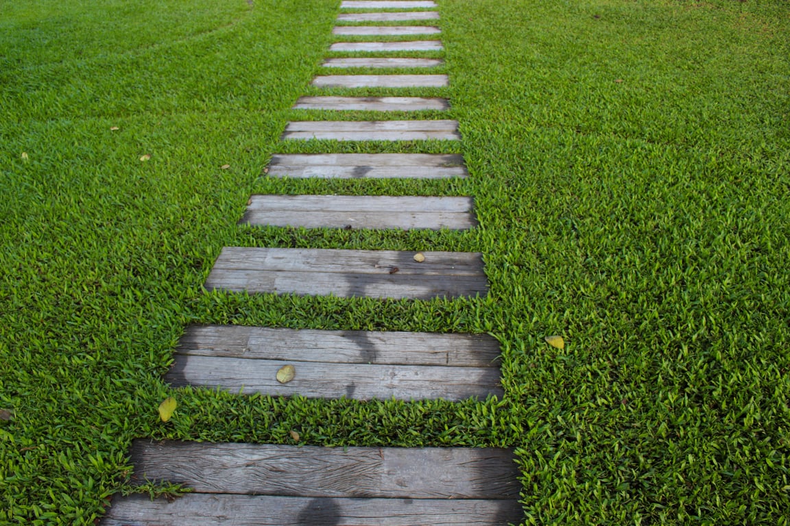 backyard landscape design