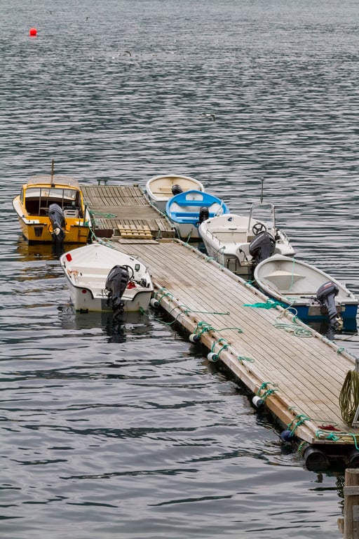 Yamaha 115 outboard motor