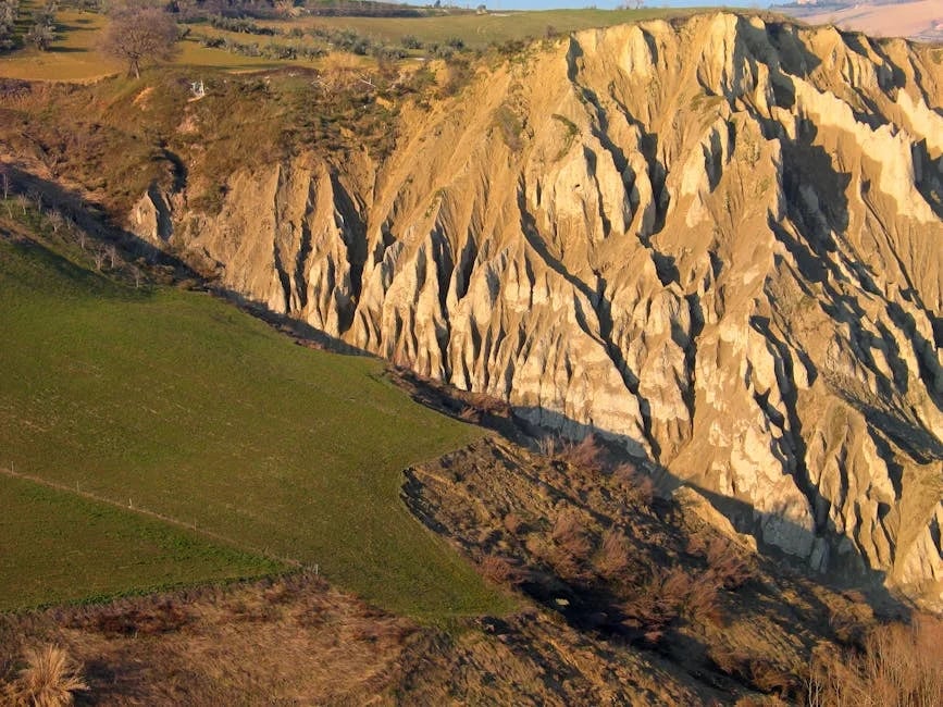 Image describing Discover the Best of Mar Vista Grande in 2025!
