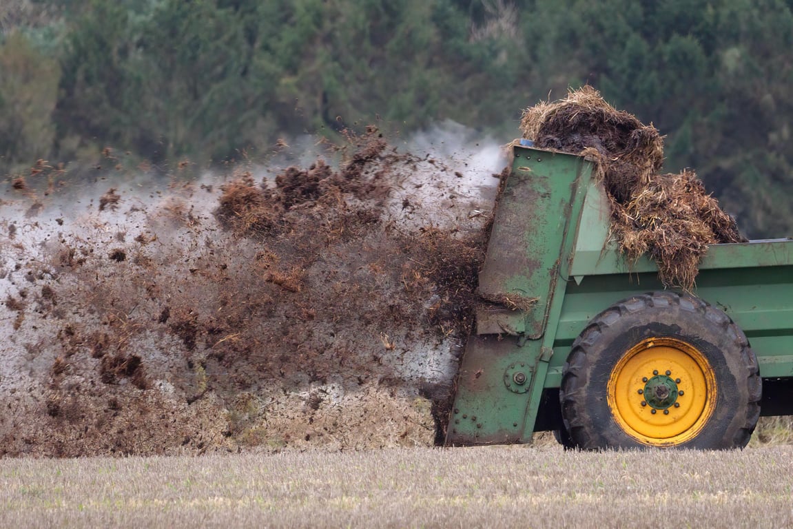 lawn fertilizer application