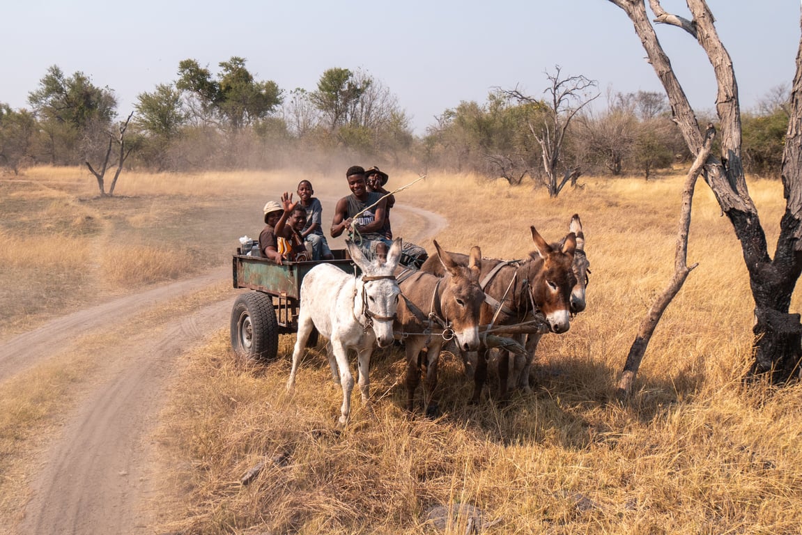 warehouse tugger cart train