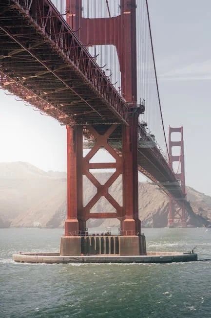 Image describing Unlock 2025s Best Travel Rewards with Bank of America