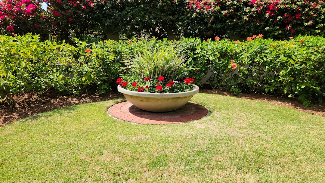 Landscaping Design Near Me: How to Choose a Local Pro Who Understands Your Yard