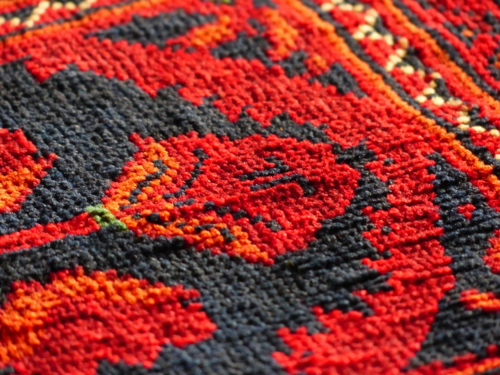 Zerorez carpet cleaning
