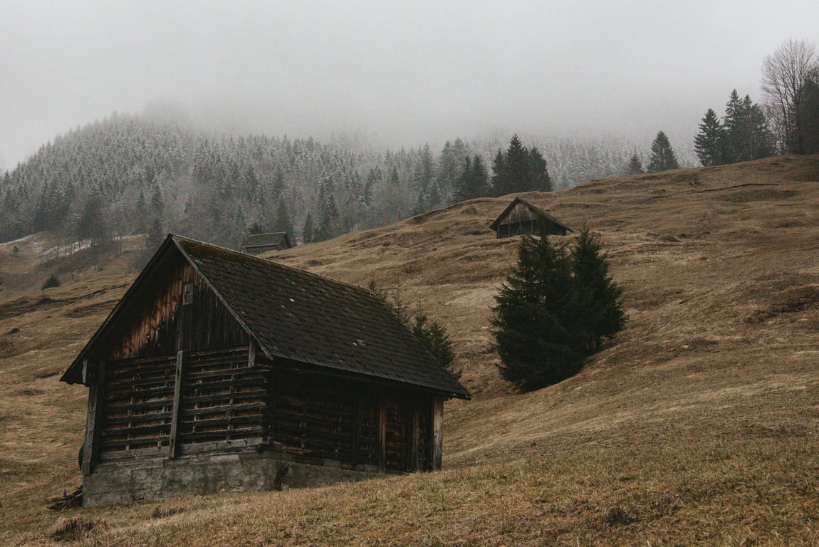 rustic cabin in the woods