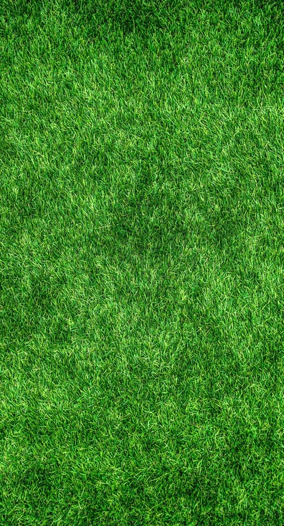 fresh sod lawn installation