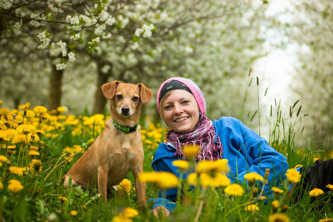 dog veterinary clinic