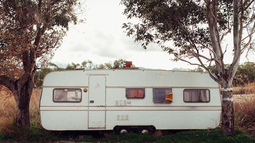 Scamp Trailer for Sale: What to Check Before You Buy