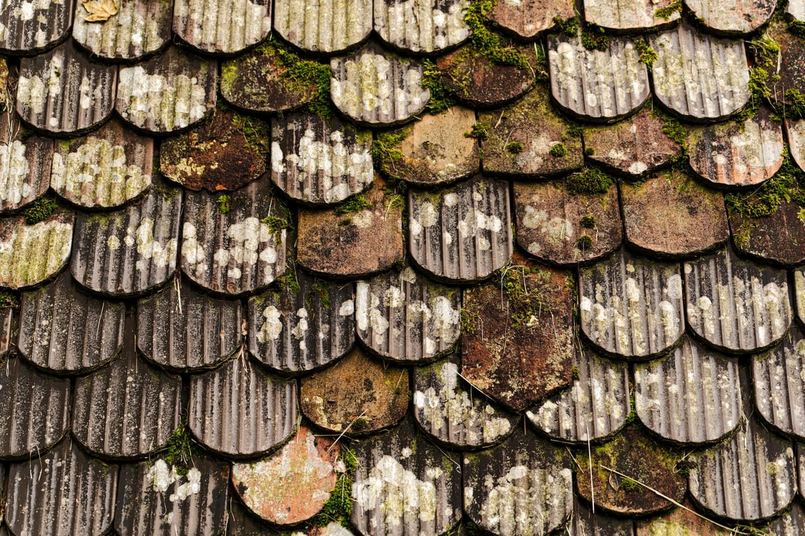 Roofing Cost: What Homeowners Should Compare Before Replacing a Roof