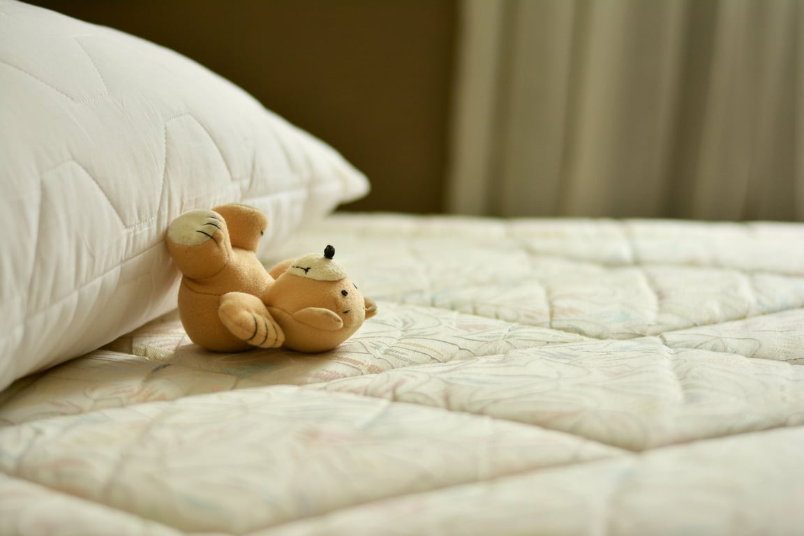 bed bug mattress seam