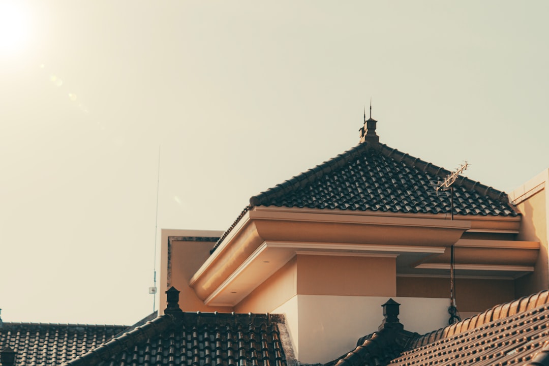 Solar Roofing Options: How to Choose Panels, Solar Shingles or a New Solar Roof
