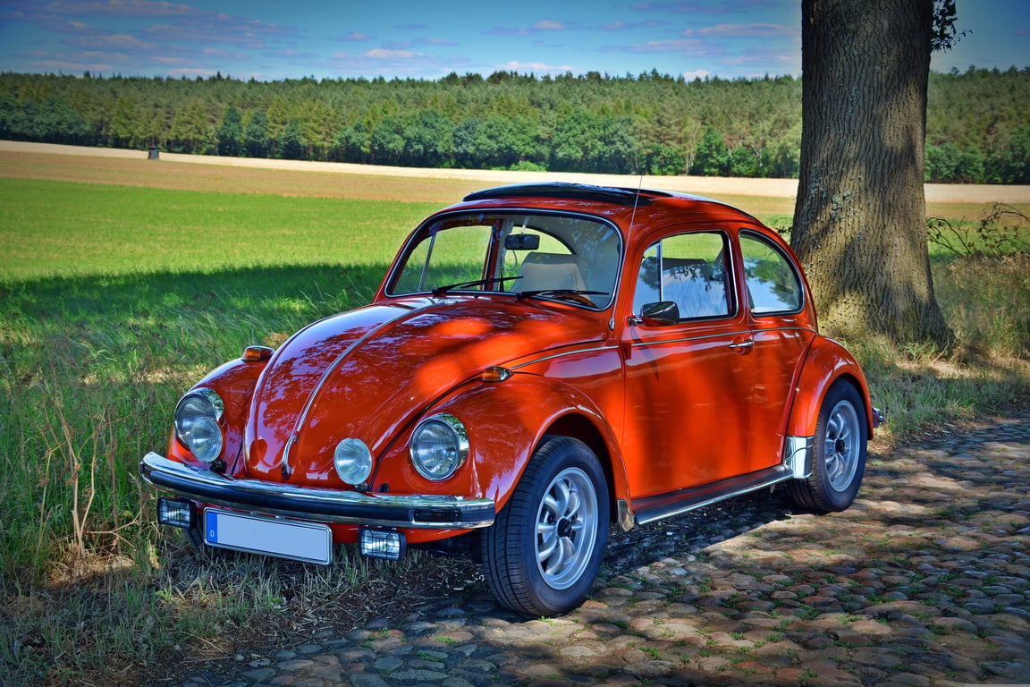 VW food trailer