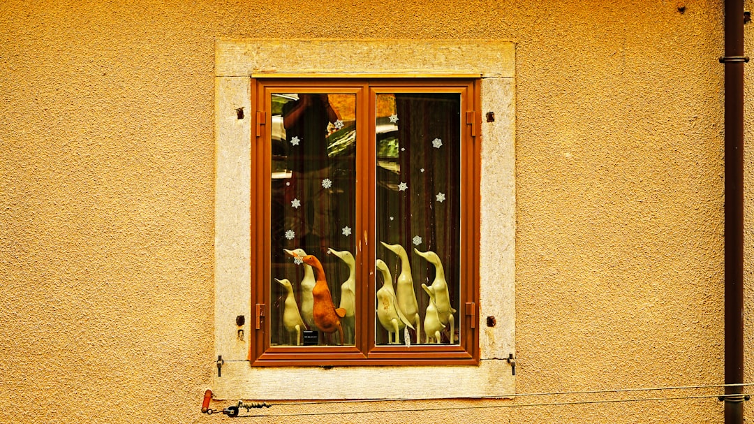 Bird Pest Control: Practical, Humane Ways to Protect Your Home