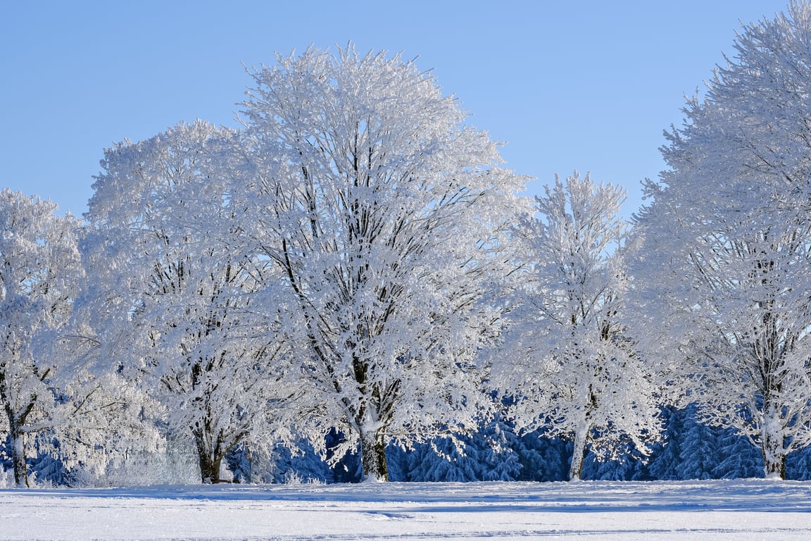 RV campsite in winter