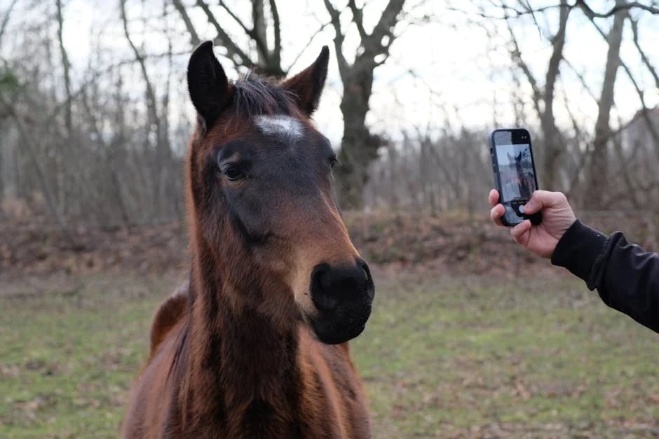 Image describing Top 10 Free Game Apps You Need to Download Now!