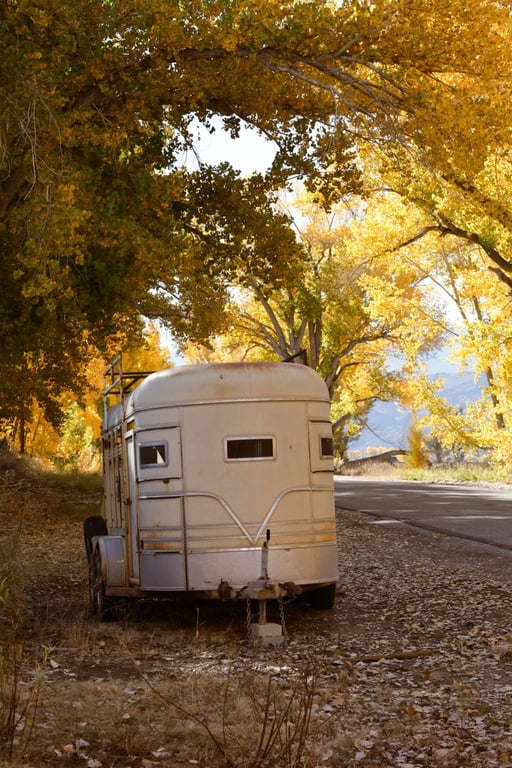 Horse Trailer Bar for Sale: What to Inspect Before You Buy