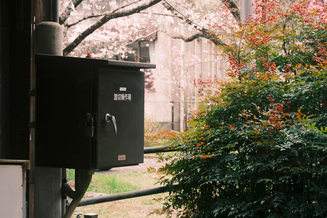 Generator Installation Cost: What Homeowners Should Budget Beyond the Unit