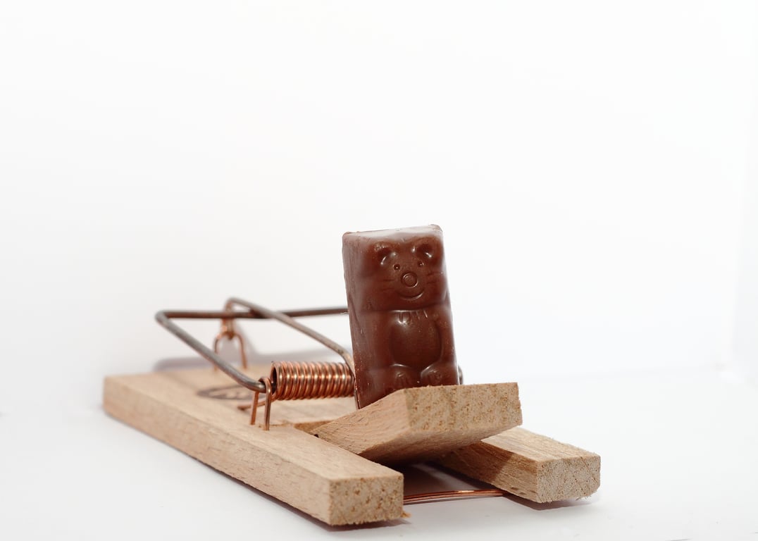 mouse trap