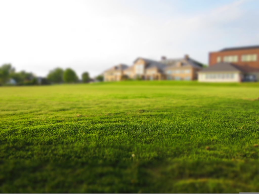 residential lawn mowing