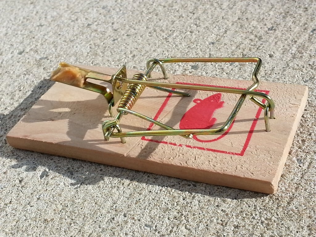 mouse traps