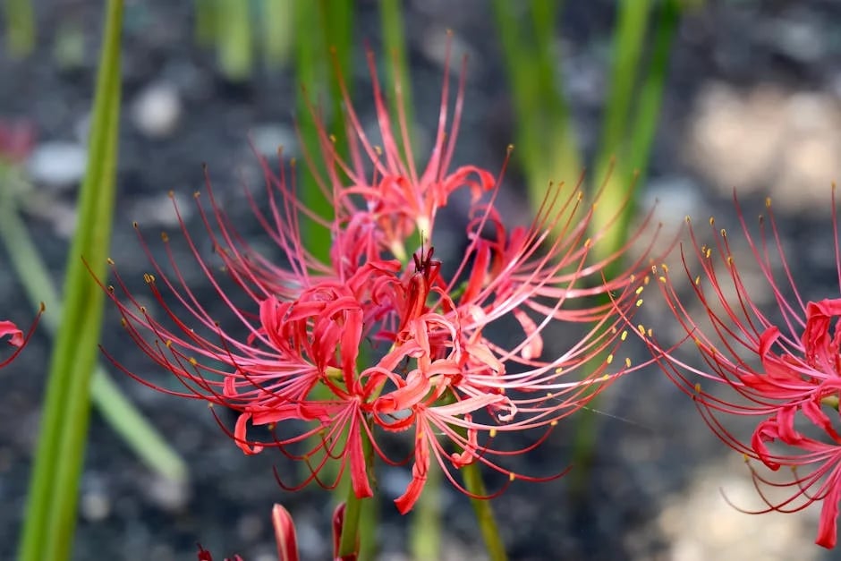 Image describing How to Play Carmel Valley Ranch Golf 7 Proven Tips (2026)