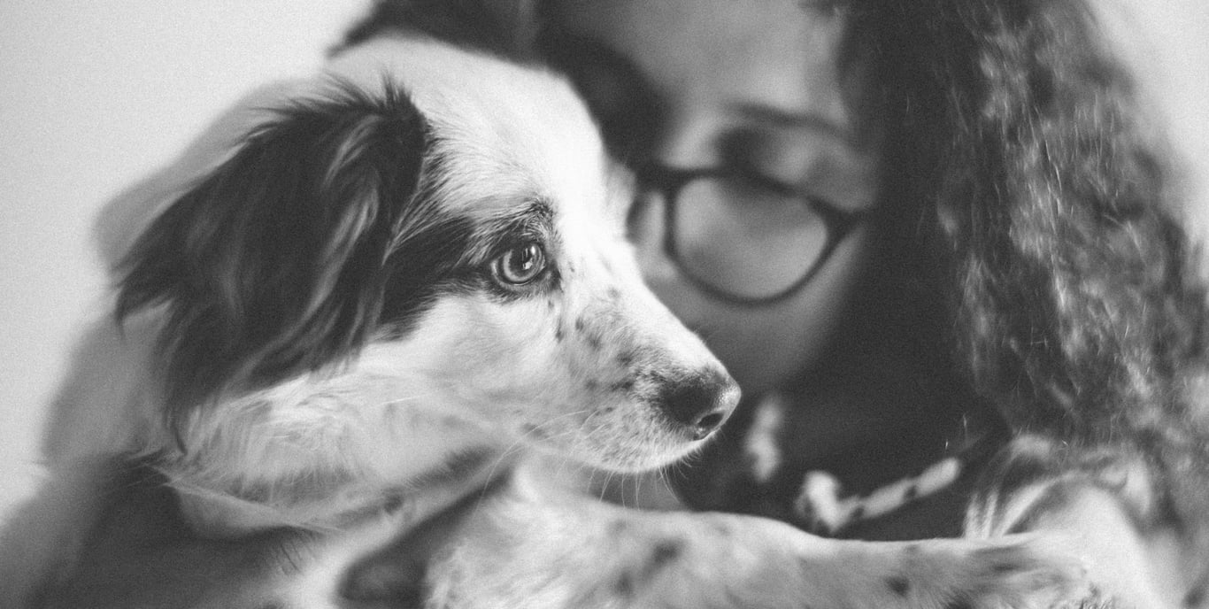 Pet Health Insurance for Dogs: How to Compare Coverage, Costs, and Exclusions