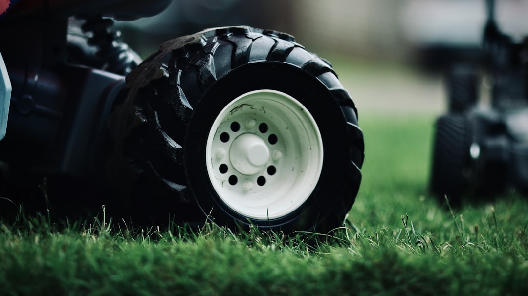 Yard Maintenance Services: What to Compare Before You Hire