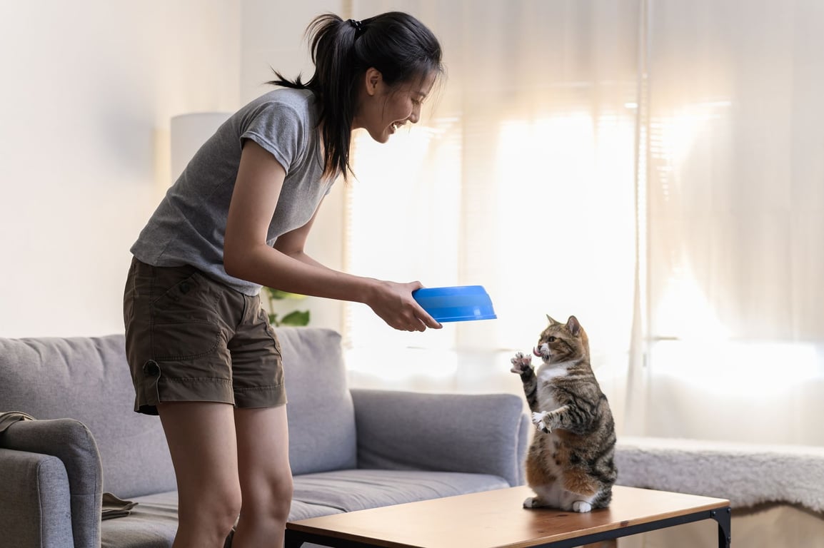 PetSmart Training: What Pet Owners Should Know Before Enrolling
