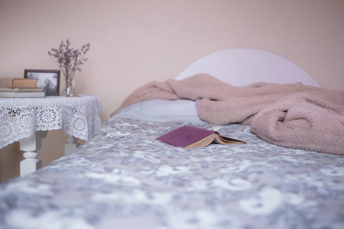 bed bug treatment bedroom