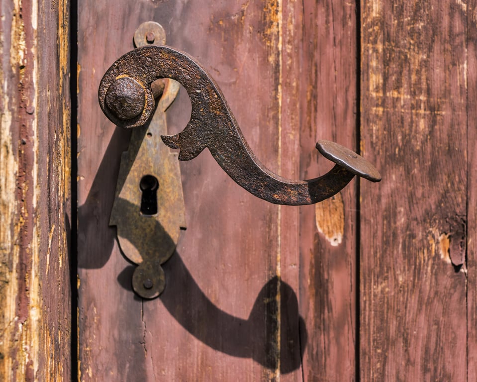 TTLock smart door lock