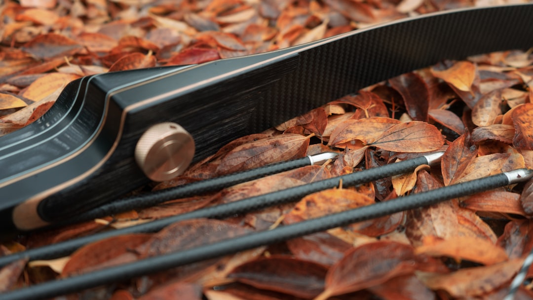 Archery Gear That Matters: A Practical Guide to Choosing Safe, Reliable Equipment