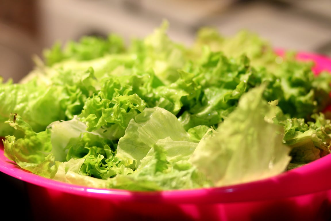 raw pet food bowl