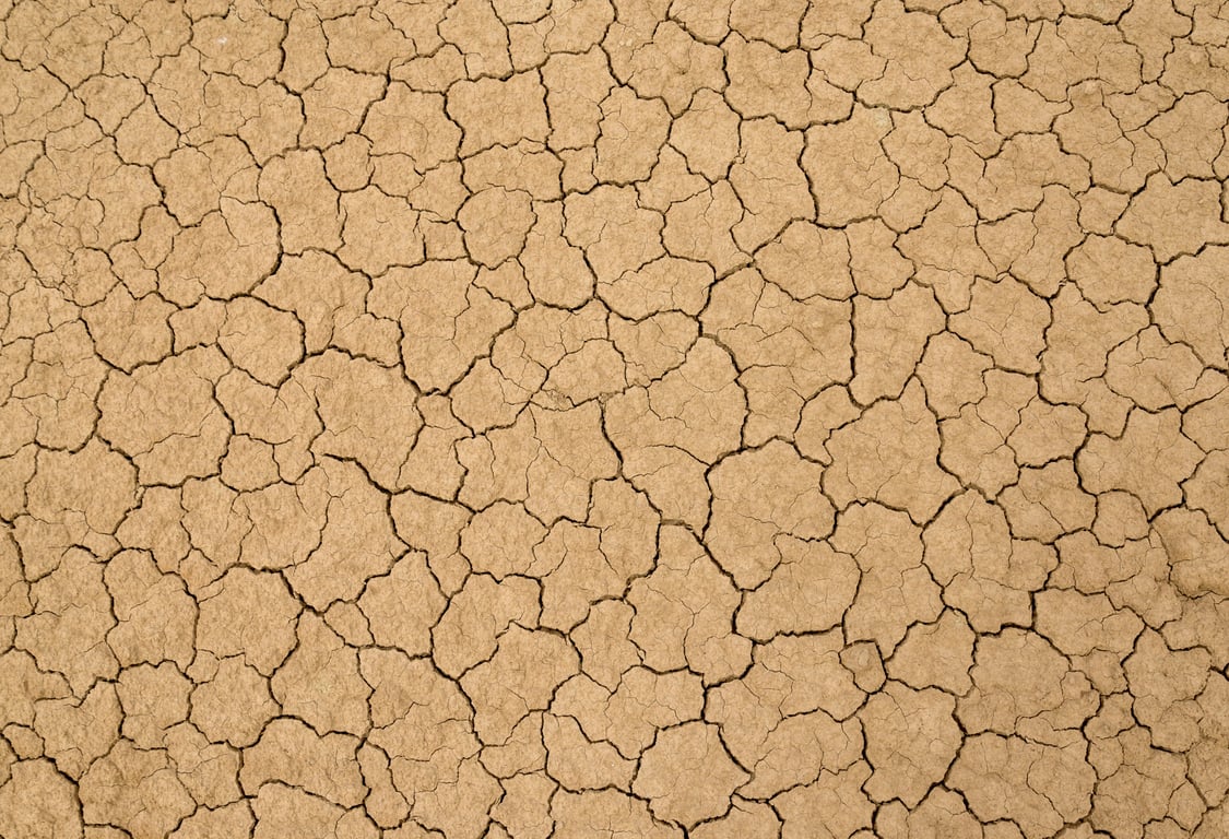 house foundation crack