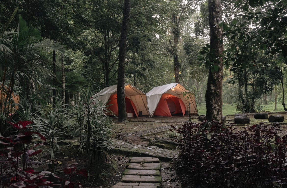 Termite Tenting Cost: What Homeowners Pay and What Drives the Price