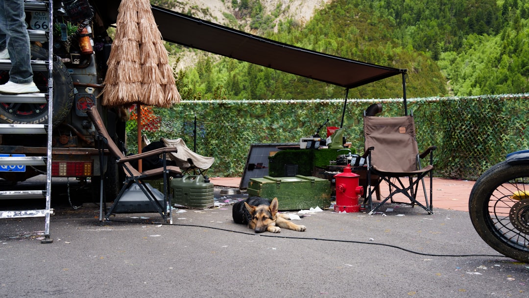 RV Generator Repair: Diagnose Common Problems Before They Leave You Without Power