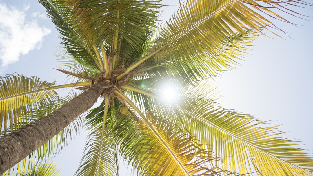 Federal Tax Incentive for Solar: What U.S. Homeowners Need to Verify Before Claiming It