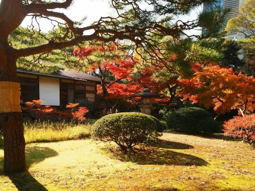 Image describing Top 10 Ways to Travel Japan Like a Local in 2025!