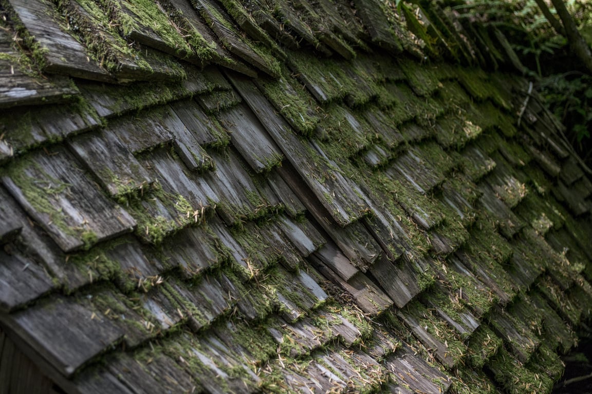 damaged roof shingles
