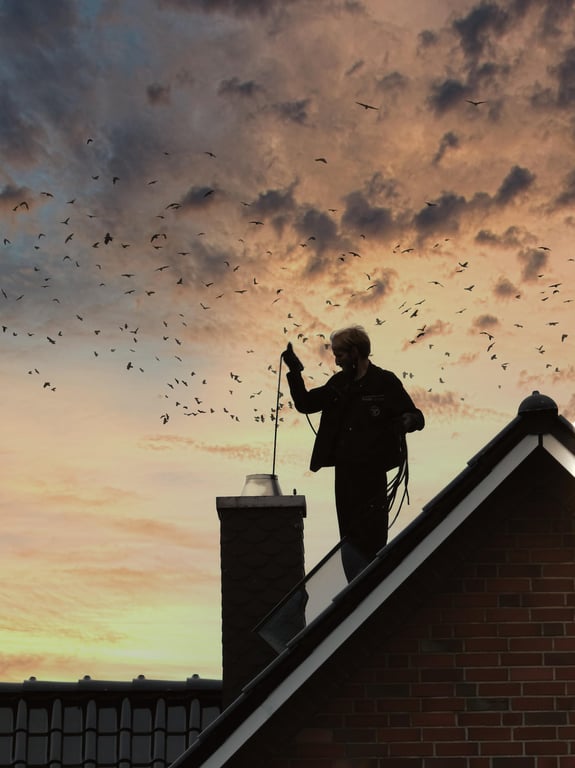 roof replacement workers