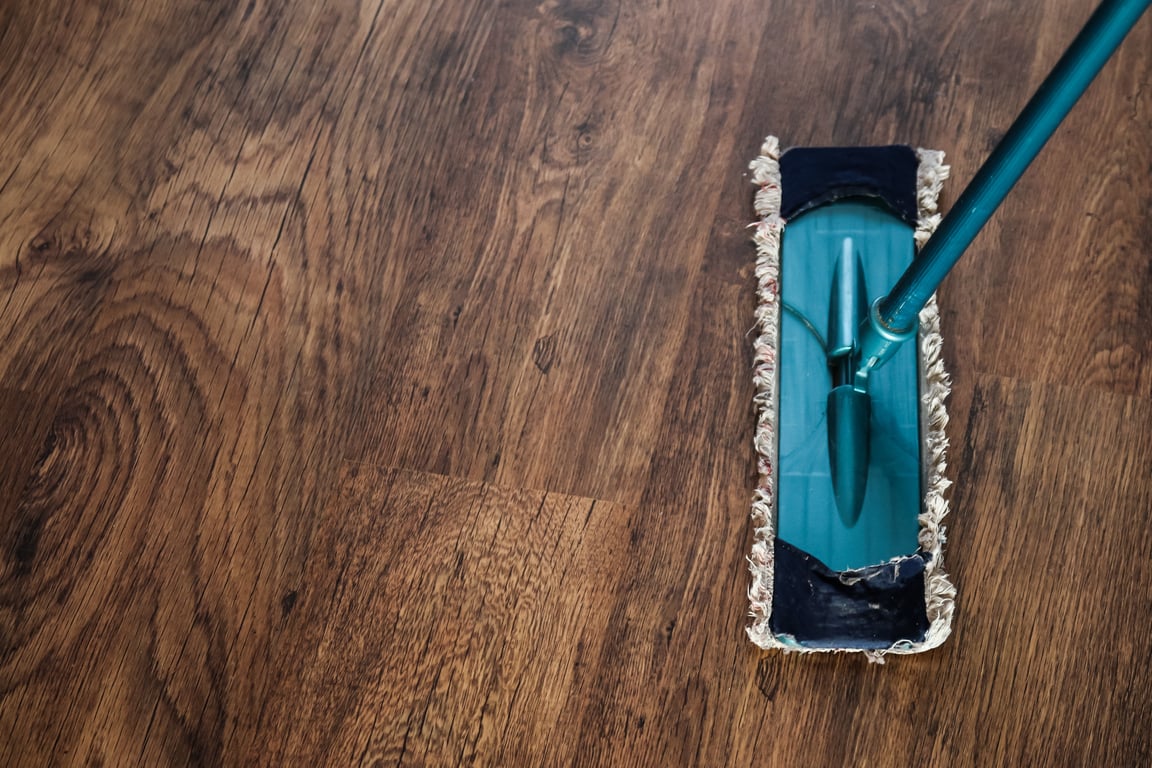 professional house cleaning